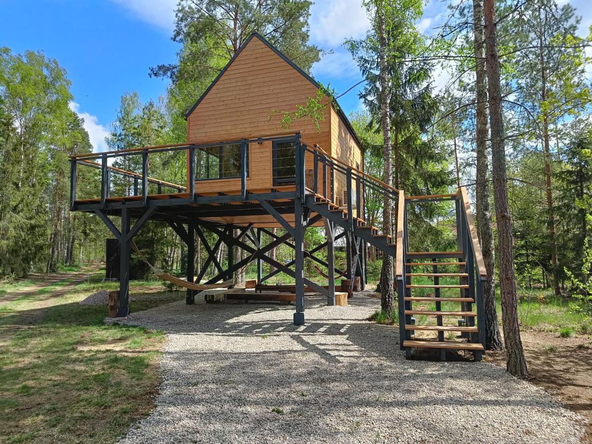 Zdalnie Z Lasu - Siedlisko W Puszczy Bialowieskiej Narewka ภายนอก รูปภาพ