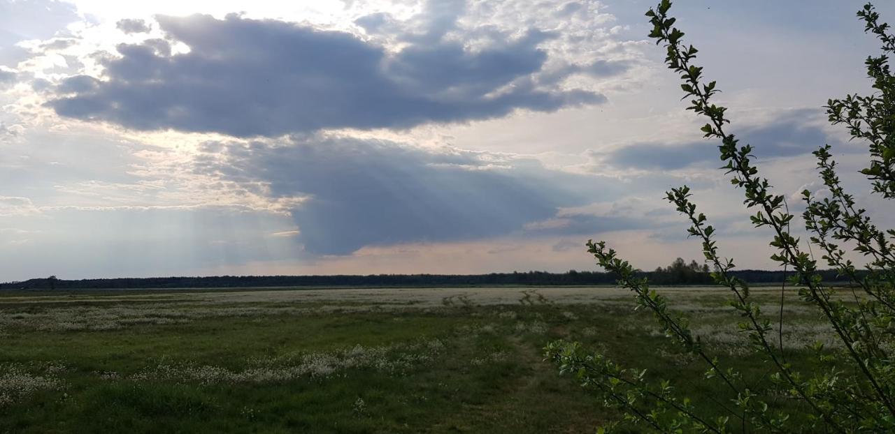 Zdalnie Z Lasu - Siedlisko W Puszczy Bialowieskiej Narewka ภายนอก รูปภาพ