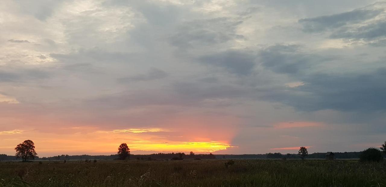 Zdalnie Z Lasu - Siedlisko W Puszczy Bialowieskiej Narewka ภายนอก รูปภาพ