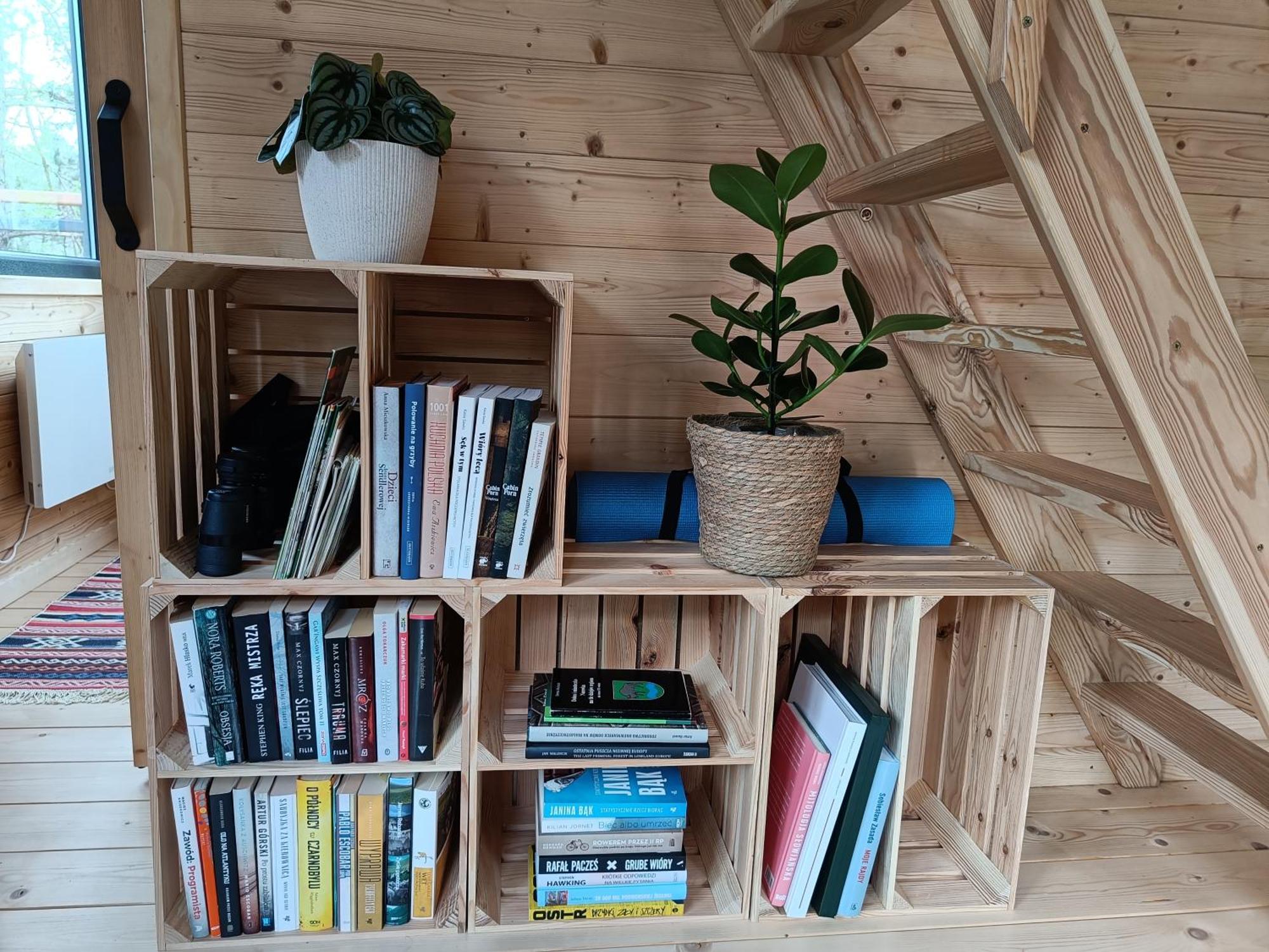 Zdalnie Z Lasu - Siedlisko W Puszczy Bialowieskiej Narewka ภายนอก รูปภาพ
