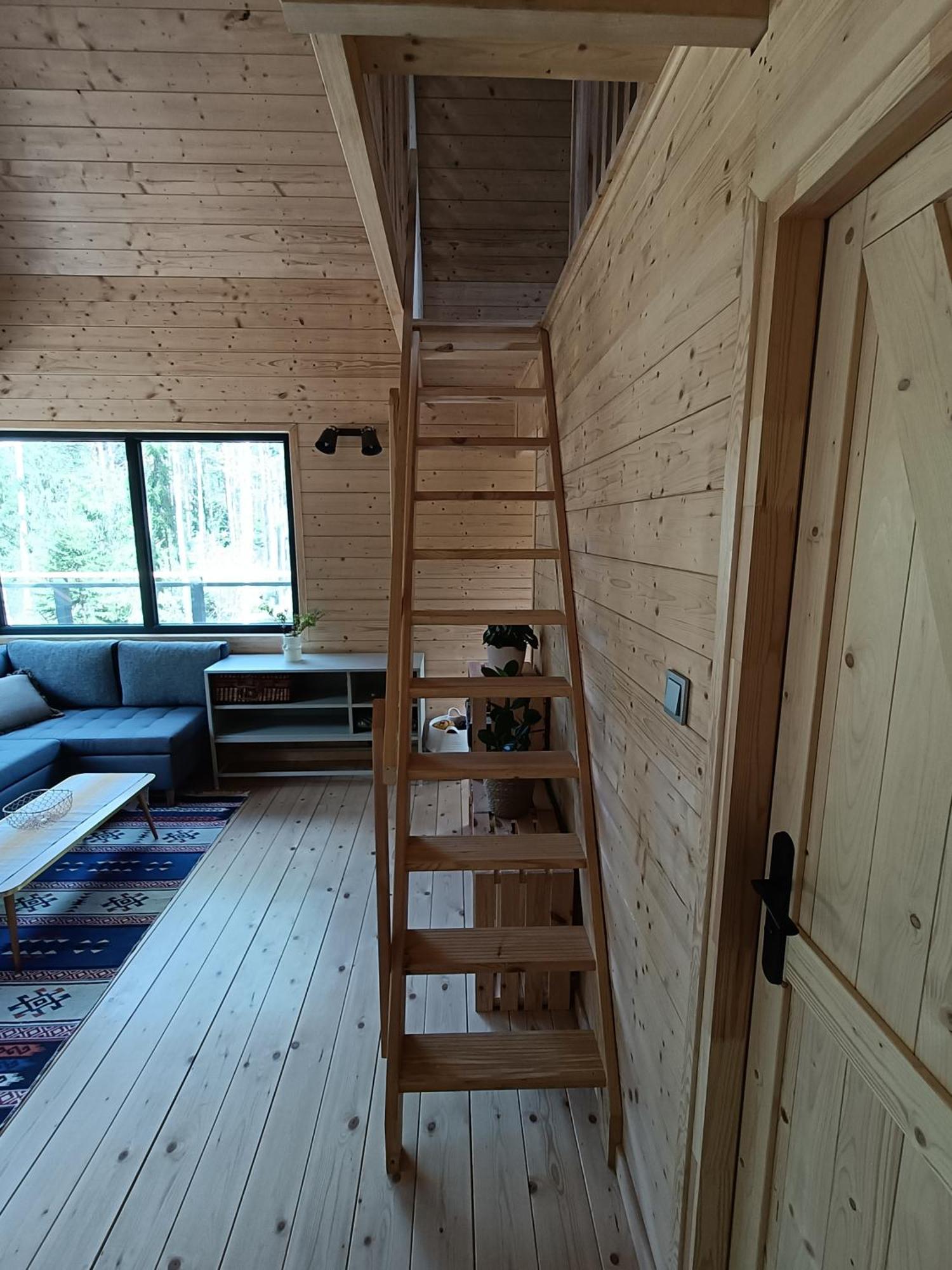 Zdalnie Z Lasu - Siedlisko W Puszczy Bialowieskiej Narewka ภายนอก รูปภาพ