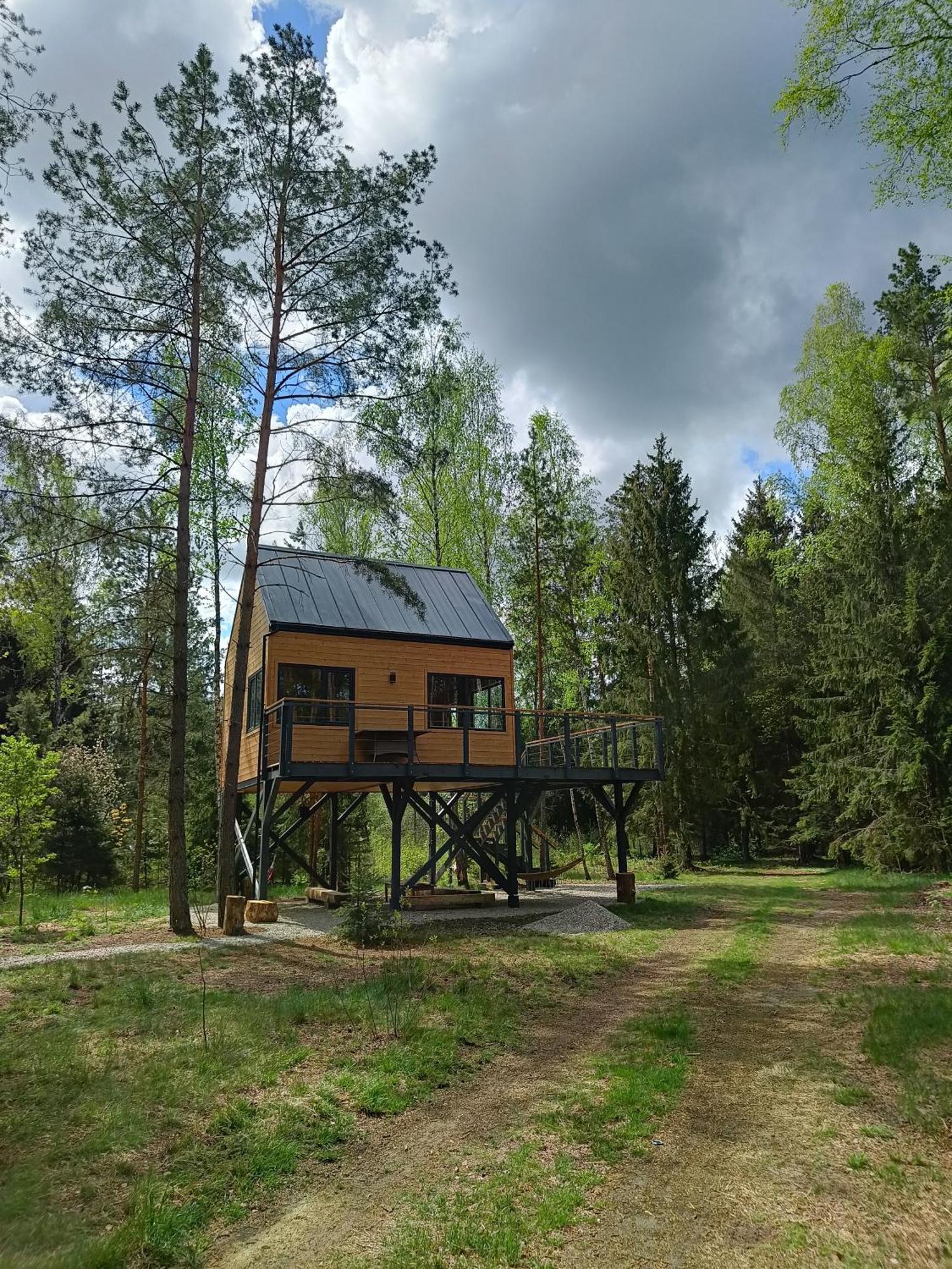 Zdalnie Z Lasu - Siedlisko W Puszczy Bialowieskiej Narewka ภายนอก รูปภาพ