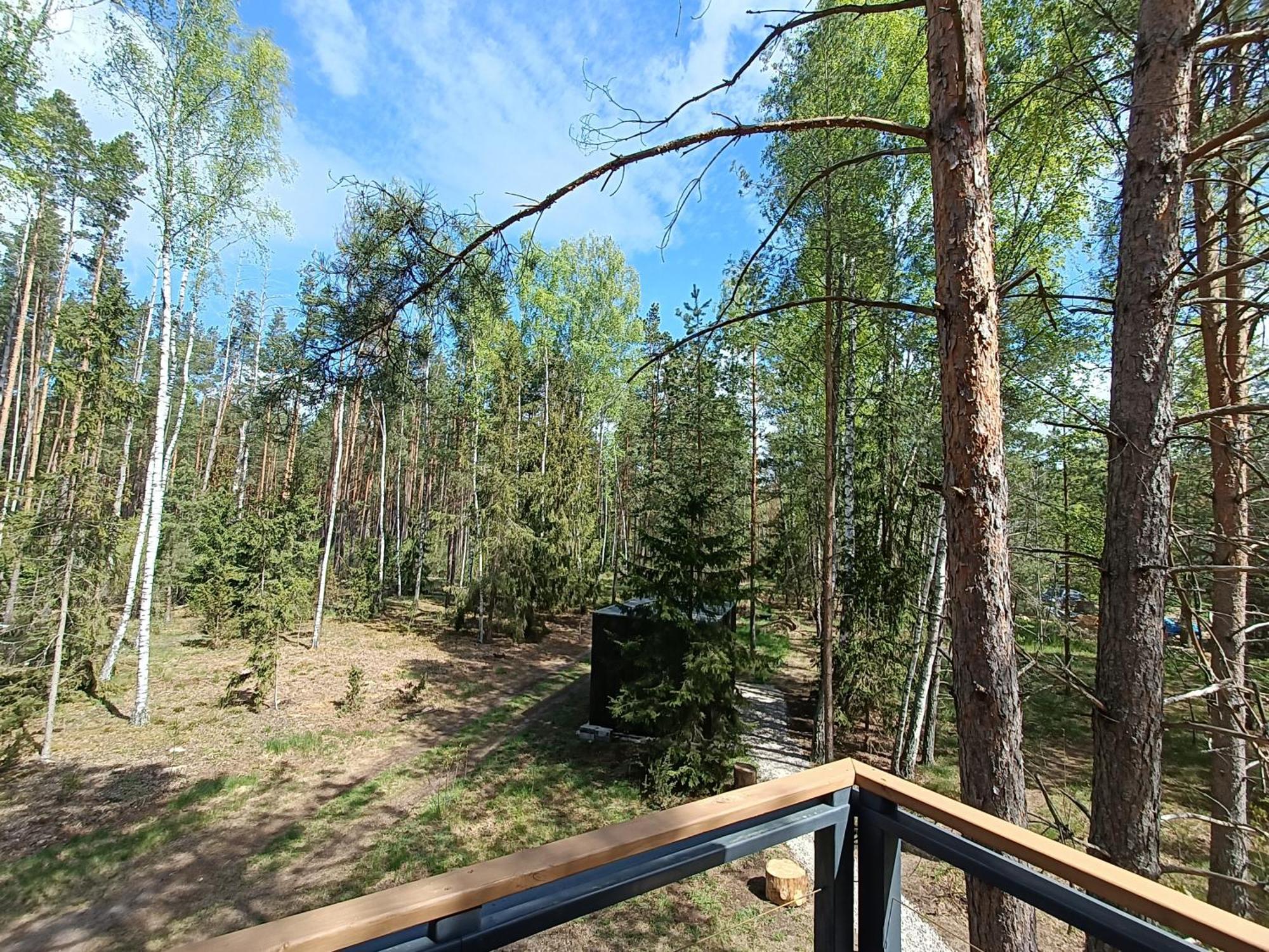 Zdalnie Z Lasu - Siedlisko W Puszczy Bialowieskiej Narewka ภายนอก รูปภาพ