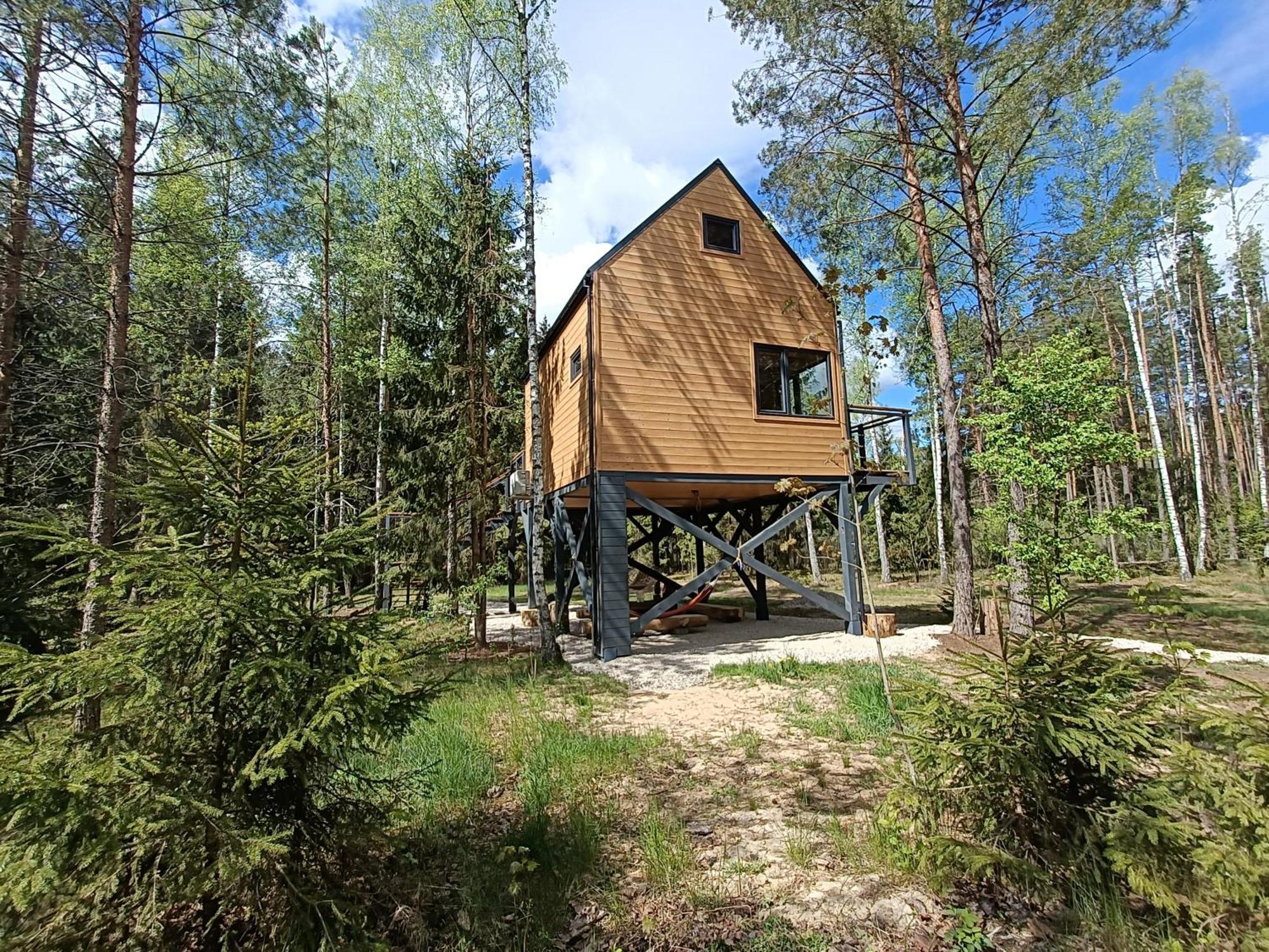 Zdalnie Z Lasu - Siedlisko W Puszczy Bialowieskiej Narewka ภายนอก รูปภาพ