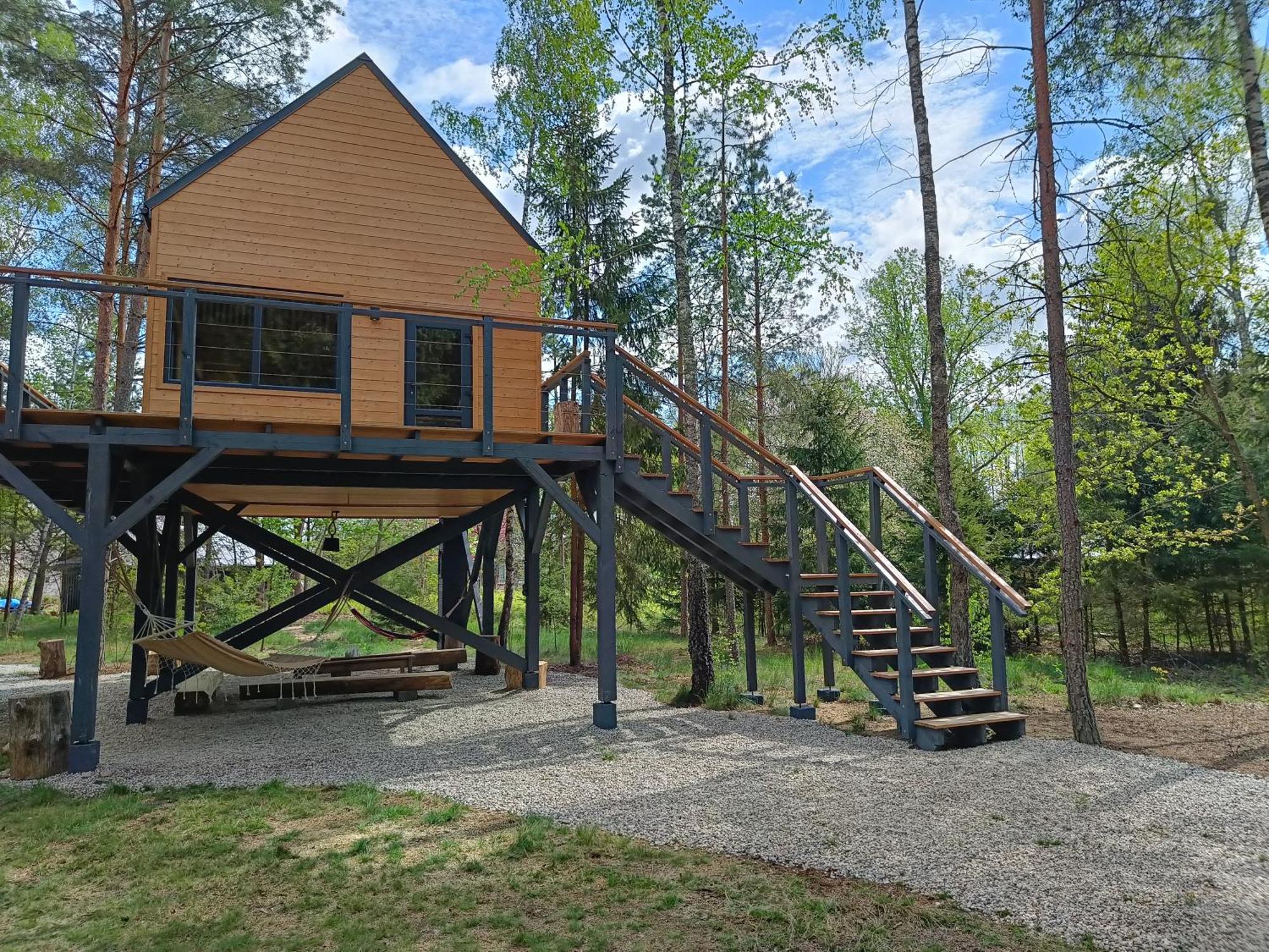 Zdalnie Z Lasu - Siedlisko W Puszczy Bialowieskiej Narewka ภายนอก รูปภาพ